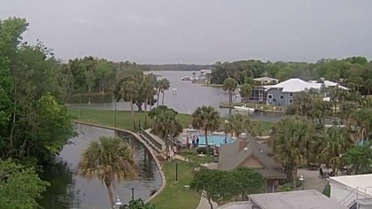 Crystal River, Homosassa River, Floryda (USA) - kamery internetowe, webcams