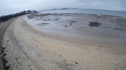 Auckland - Kohimarama - New Zealand