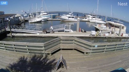 Fernandina Beach - Marina, Florida (USA) - Webcams