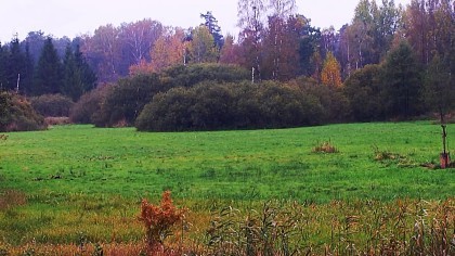 Rzeka Drwęca Nature Reserve, Ilawa - Webcams