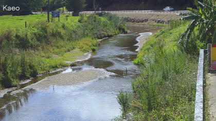 Kaeo - Water level - New Zealand
