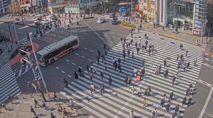 Tokyo - Shinjuku - Zebra crossing - Japan