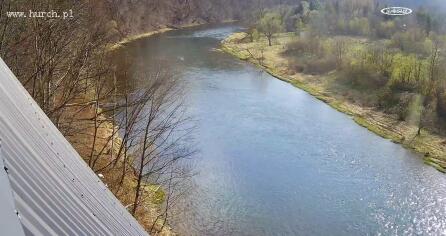 zwierzy-rzeka-san-lesko-kamery-internetowe-webcams