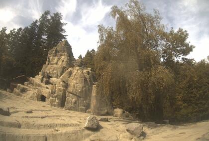 St. Gallen - Wildpark Peter & Paul - Switzerland