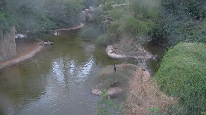 Al Dhaid - Al Bardi Nature Reserve - Sharjah Safari - United Arab Emirates
