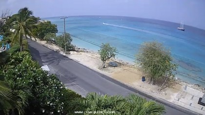 paynes bay webcam