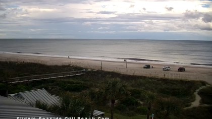 fernandina webcams