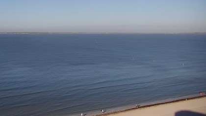 pink shell resort webcam