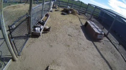 Gillette - Our Wyoming Life, Wyoming (USA) - Webcams