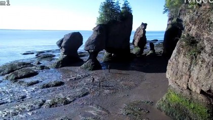 Hopewell Cape - Hopewell Rocks, Canada - Webcams