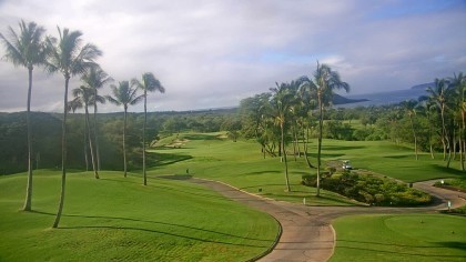 maui wailea golf na zywo