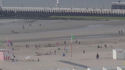 Nieuwpoort Strand - Strand Zonnebloem - Nieuwpoort - WestVlaanderen - Belgium ... : Het overleden zeehondje, van ongeveer een.