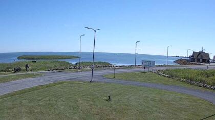 Sviby - Harbour - Estonia
