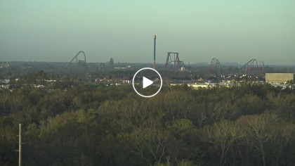 Busch Gardens Live Cam: Experience Wildlife in Real-Time
