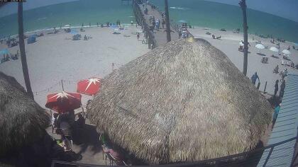Venice - Venice Fishing Pier - Florida (USA)