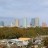 Tampa - Skyline