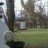 West Seneca - deer, raccoon, squirrel
