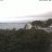 Stanley - Port