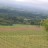 Kombornia - Beskid Niski