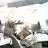Todtnauberg
