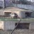 National Zoological Park - Lions