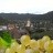 Spitz - Weingut Lagler