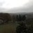 Schwaney