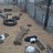 Kilgetty - Folly Farm