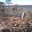 Orange Beach - Osprey
