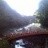 Nikkō - The Sacred Bridge