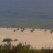 Plaża