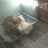 Daytona Beach - The Halifax Humane Society