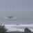 Bandon