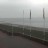 Wilhelmshaven - Seerose
