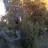 Ferrara - Botanical Garden
