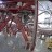 La Palma - Nordic Optical Telescope I