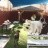 La Quinta - The Village Pup