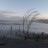 Monterey - Plaża