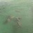 Riviera Strand - Manatee
