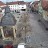 Höchstadt an der Aisch - Marktplatz