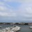West Palm Beach - Palm Harbor Marina