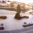 Rynek