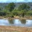 Kruger National Park - Punda Maria