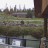 West Yellowstone - Wildlife Park Center - Grizzly Bears