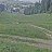 Brașov - Partia Bradul