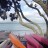 Auckland - Takapuna Beach