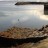 Berneray - Bays Loch