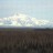 Talkeetna