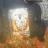Maihar - Maa Sharda Mandir