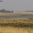 Serondela - Puku Flats